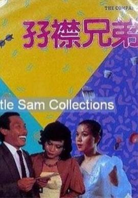 国产精品视频h