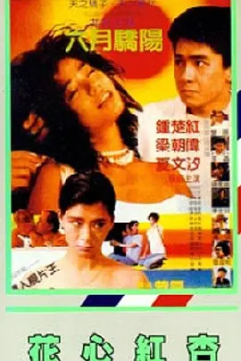 埃贝尔问卷
