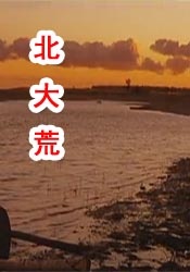 丁香色婷婷国产精品视频
