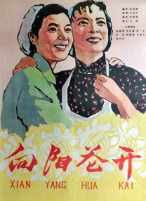sm经历