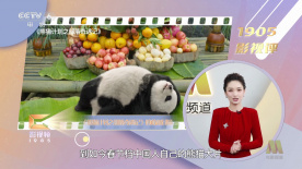 丁香色婷婷国产精品视频